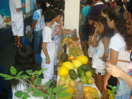 Clique aqui para ampliar